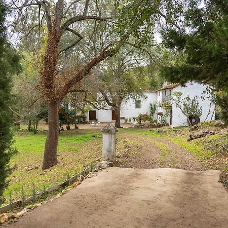 Molino De Gris Cazorla Chilluevar Exterior foto