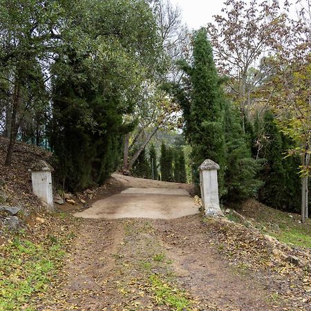 Molino De Gris Cazorla Chilluevar Exterior foto