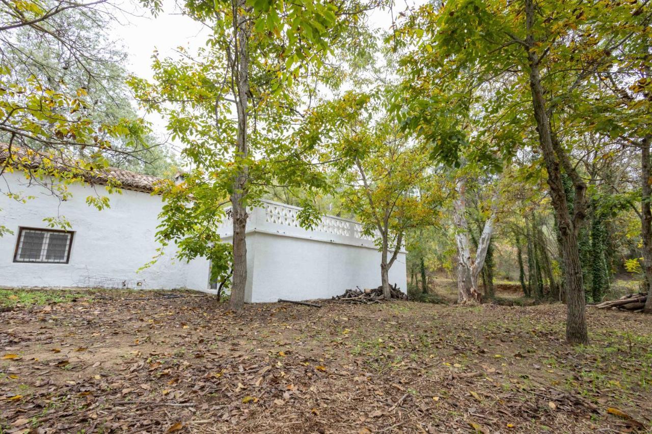 Molino De Gris Cazorla Chilluevar Exterior foto