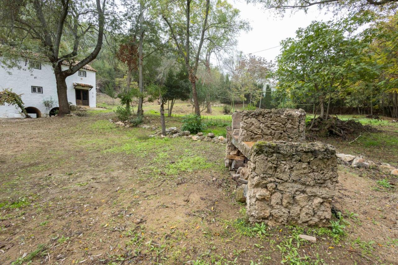 Molino De Gris Cazorla Chilluevar Exterior foto
