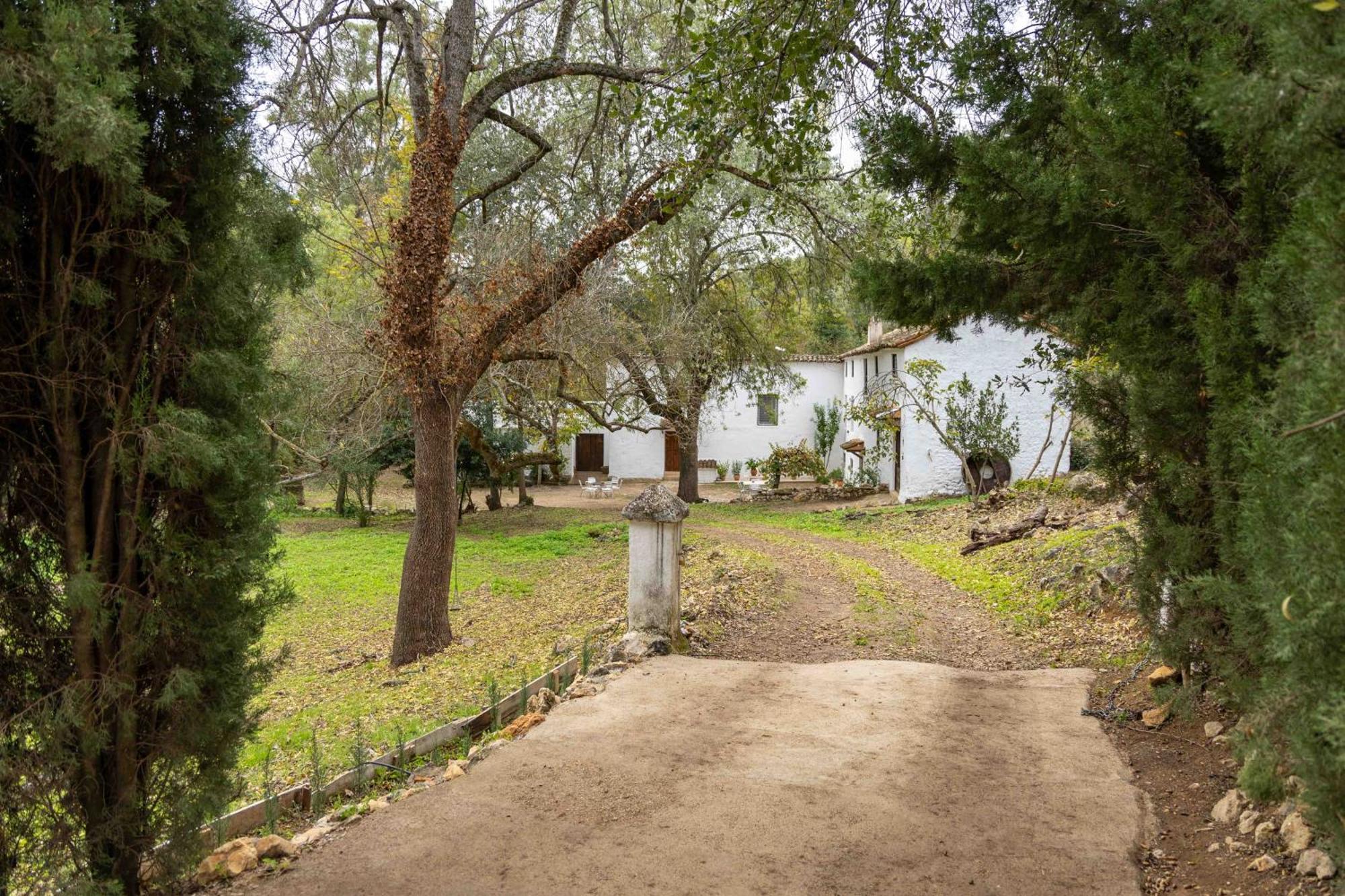 Molino De Gris Cazorla Chilluevar Exterior foto